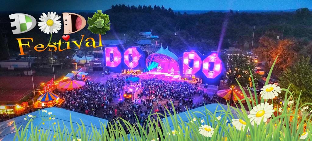 4 passe partout kaarten dodo festival Bakkeveen, Drie personen of meer, Ticket of Toegangskaart