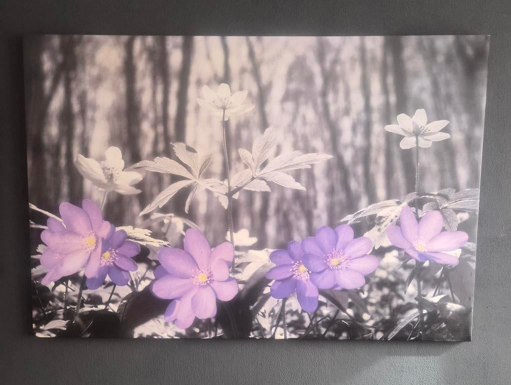 Canvas schilderij met paarse bloemen, Ophalen of Verzenden