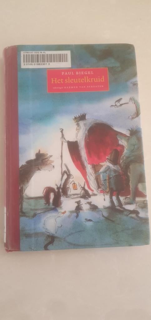 Paul Biegel - Het sleutelkruid, Boeken, Kinderboeken | Jeugd | onder 10 jaar, Ophalen of Verzenden