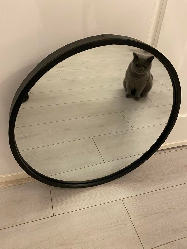 Zwarte ronde spiegel, Gebruikt, Ophalen of Verzenden, Minder dan 100 cm, Ovaal