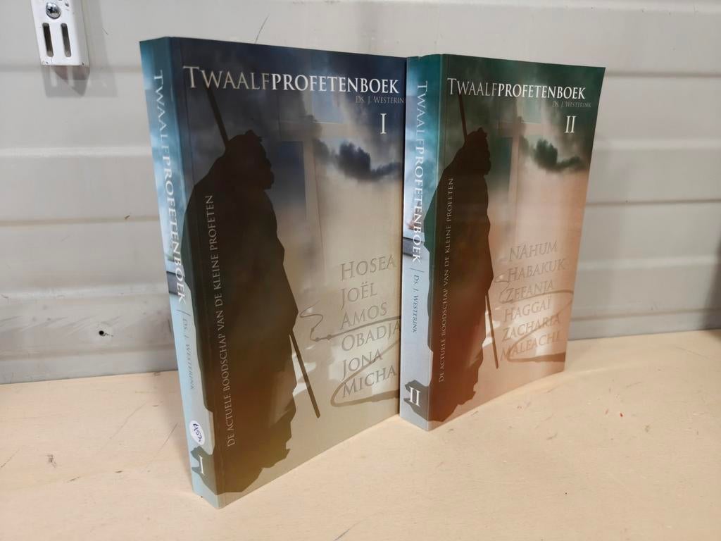 Nr. 452 Ds. J. Westerink. Twaalfprofetenboek., Gelezen, Christendom | Protestants, Ophalen of Verzenden, Ds. J. Westerink