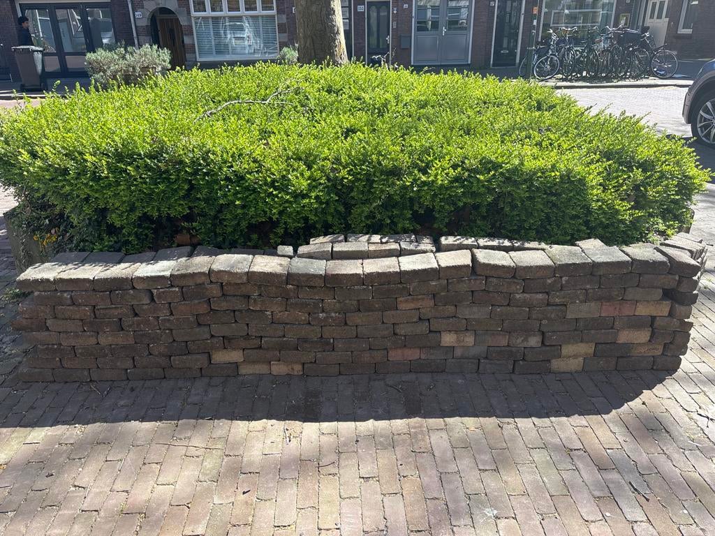 Steentjes 10m2, Tuin en Terras, Ophalen, Gebruikt, Klinkers, 10 m² of meer