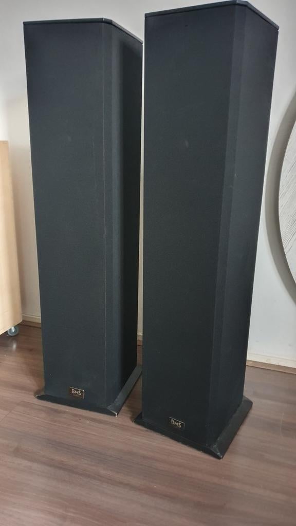 BNS Ellenssy Two II, Gebruikt, 60 tot 120 watt, Front, Rear of Stereo speakers, Ophalen