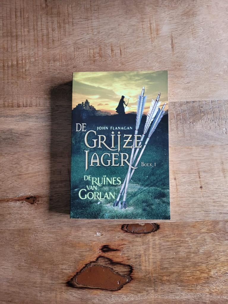 De Grijze Jager deel 1: De Ruïnes van Gorlan, Ophalen of Verzenden