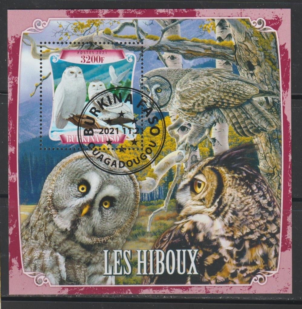 VOGELS = UILEN = Mooi bl. v BURKINA FASO-GB-010, Verzenden, Gestempeld, Dier of Natuur