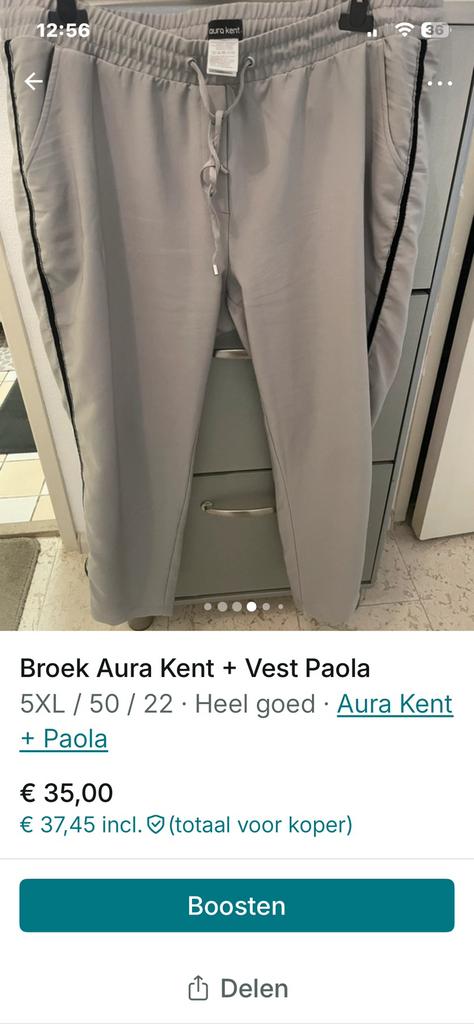 Broek, Ophalen, Zo goed als nieuw, Grijs, Lang