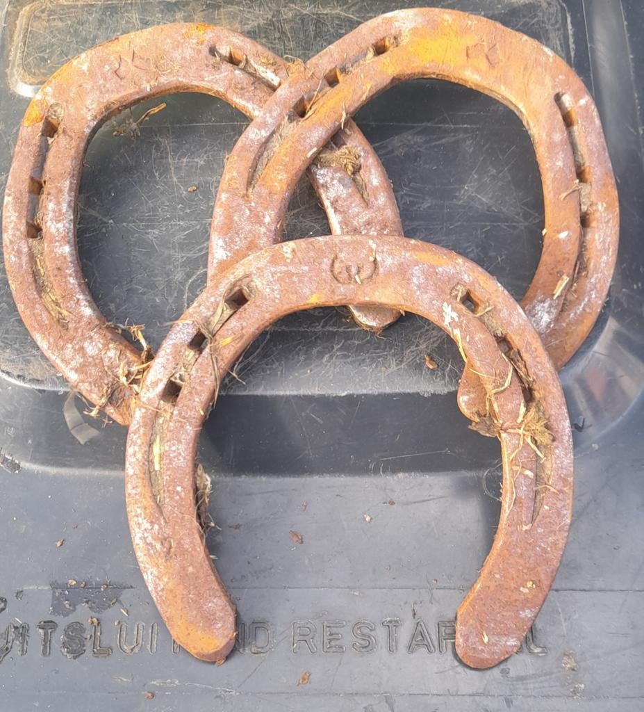 Drie hoefijzers paard, Ophalen of Verzenden, Overige soorten