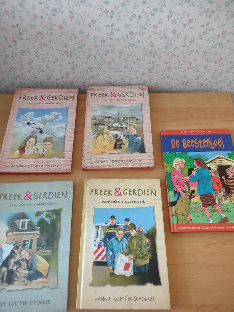Diverse boeken- Jannie Koetsier-Schokker, Ophalen of Verzenden, Gelezen, Fictie algemeen