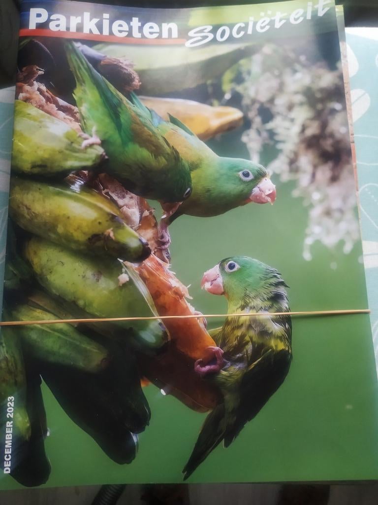 Boekjes parkieten sociëteit, Ophalen of Verzenden