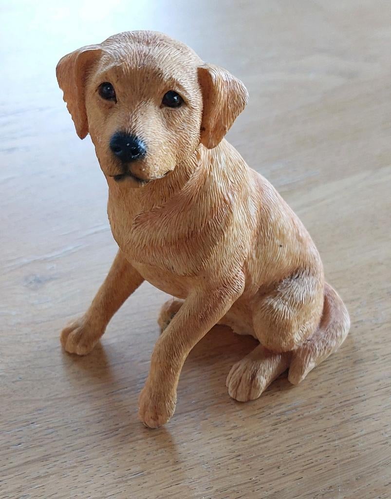 The leonardo collection golden labrador, Huis en Inrichting, Ophalen of Verzenden