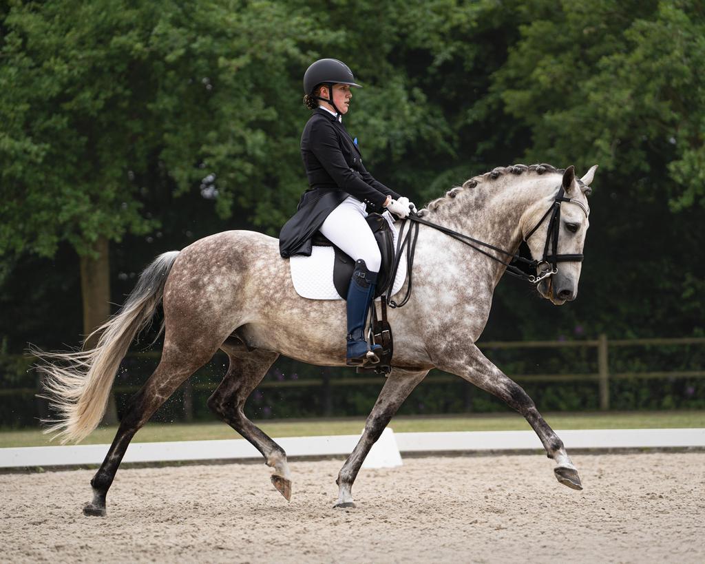 Zadelmak maken op locatie, per direct plek, Dieren en Toebehoren, Paarden en Pony's | Overige Paardenspullen, Ophalen, Nieuw, Dressuur