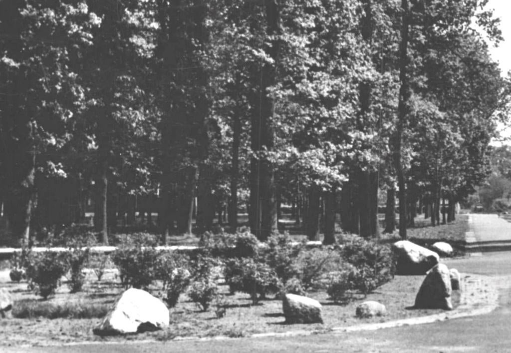 991127 Eext Drenthe 1958 Gelopen met postzegel Stempel Eext, Ophalen of Verzenden, 1940 tot 1960, Gelopen, Drenthe