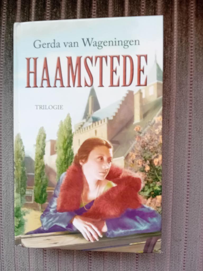 Trilogie - Haamstede - Gerda van Wageningen, Gerda van Wageningen, Ophalen of Verzenden, Zo goed als nieuw, Nederland