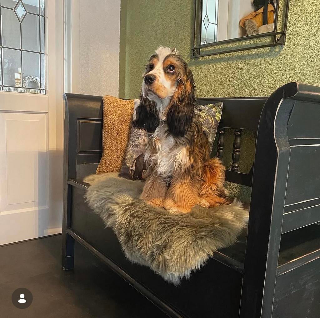 Te koop houten bankje zwart, Ophalen, 100 tot 125 cm, Rechthoekig, Hout