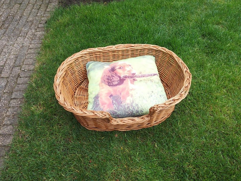 Hondenmand, Ophalen of Verzenden, Gebruikt