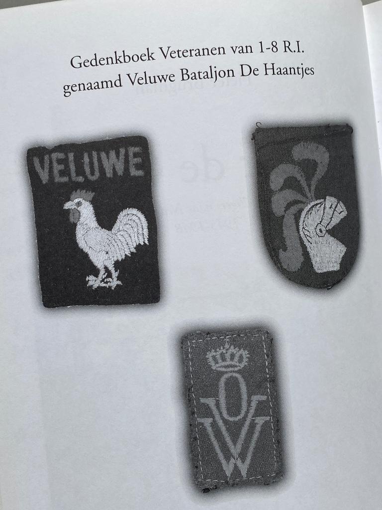 Naar de Oost oorlogsvrijwilligers naar Nederlands Indië, Ophalen of Verzenden, Zo goed als nieuw, Algemeen, 1945 tot heden