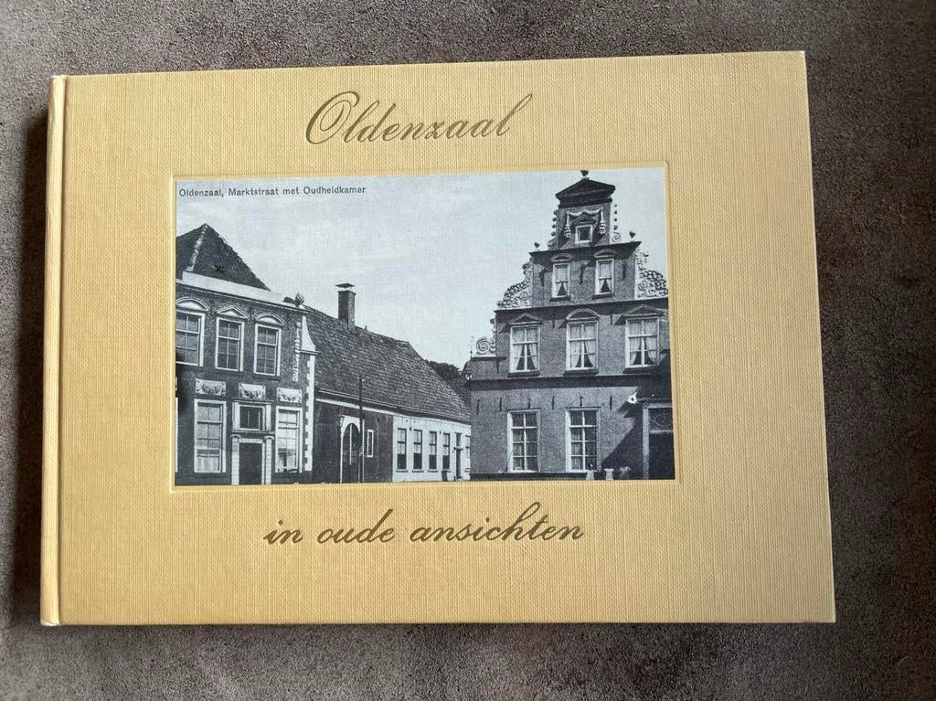 Oldenzaal in oude ansichten, Ophalen of Verzenden, Gelezen