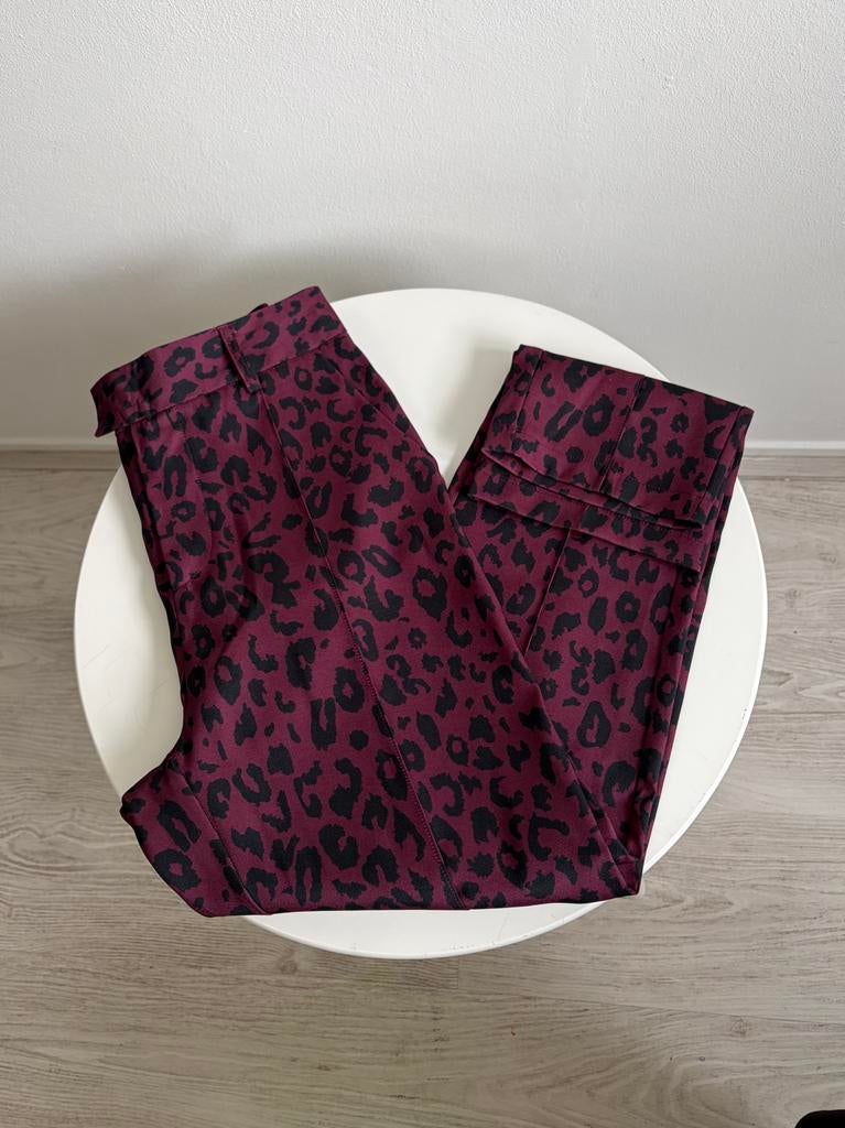 Ivivi pantalon met panterprint NIEUW, Kleding | Dames, Broeken en Pantalons, Nieuw, Ophalen of Verzenden, Maat 36 (S), Lang