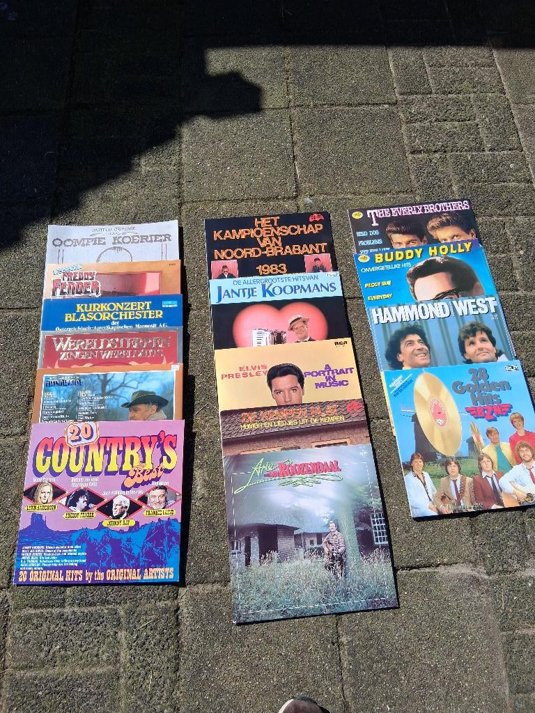 Lp vinyl collectie, Cd's en Dvd's, Vinyl | Pop, Ophalen of Verzenden, 1960 tot 1980, Gebruikt, 12 inch