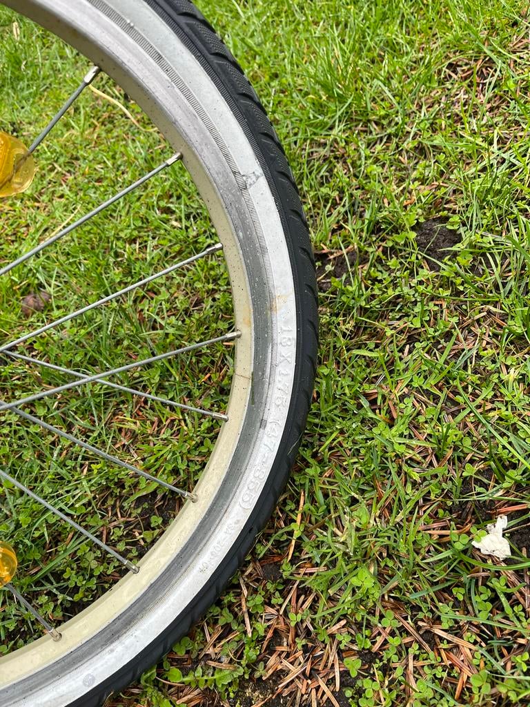 Alpina kinderfiets 18 inch roze, Ophalen, Gebruikt, 16 tot 20 inch