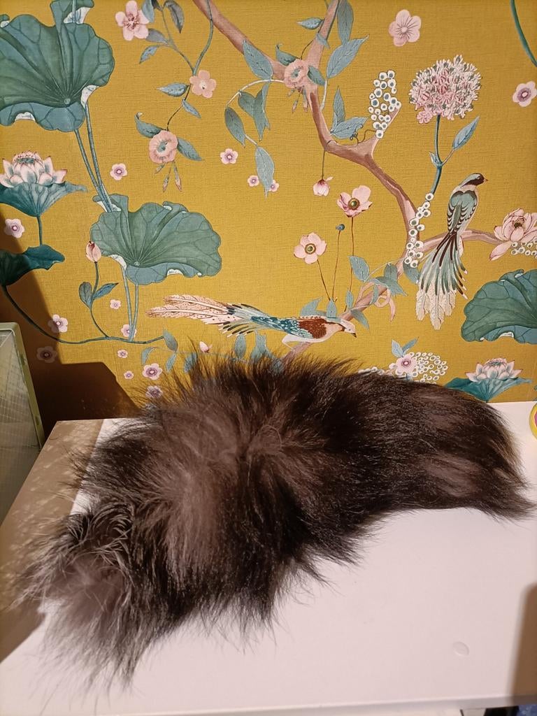 Bont donkerbruin zwart, Ophalen, Nieuw