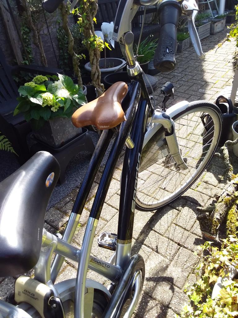 Sparta papa/opafiets., Fietsen en Brommers, Fietsen | Tandems, Ophalen, Gebruikt, 53 tot 57 cm, Minder dan 10 versnellingen