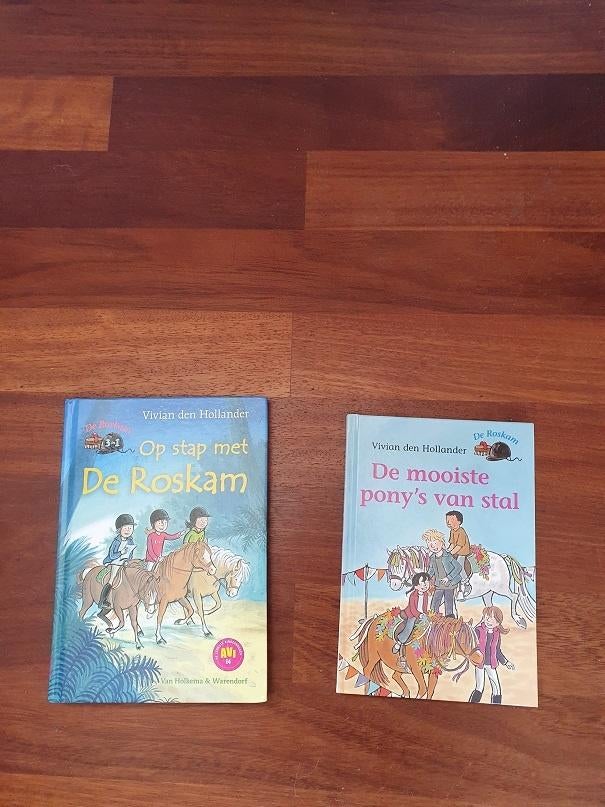 De Roskam van  Vivian den Hollander  , Ophalen of Verzenden, Gelezen, Fictie algemeen