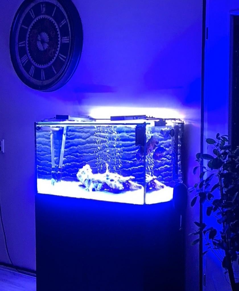 Aquarium Compleet met filtersysteem luchtpomp ,glazen deksel, Ophalen of Verzenden