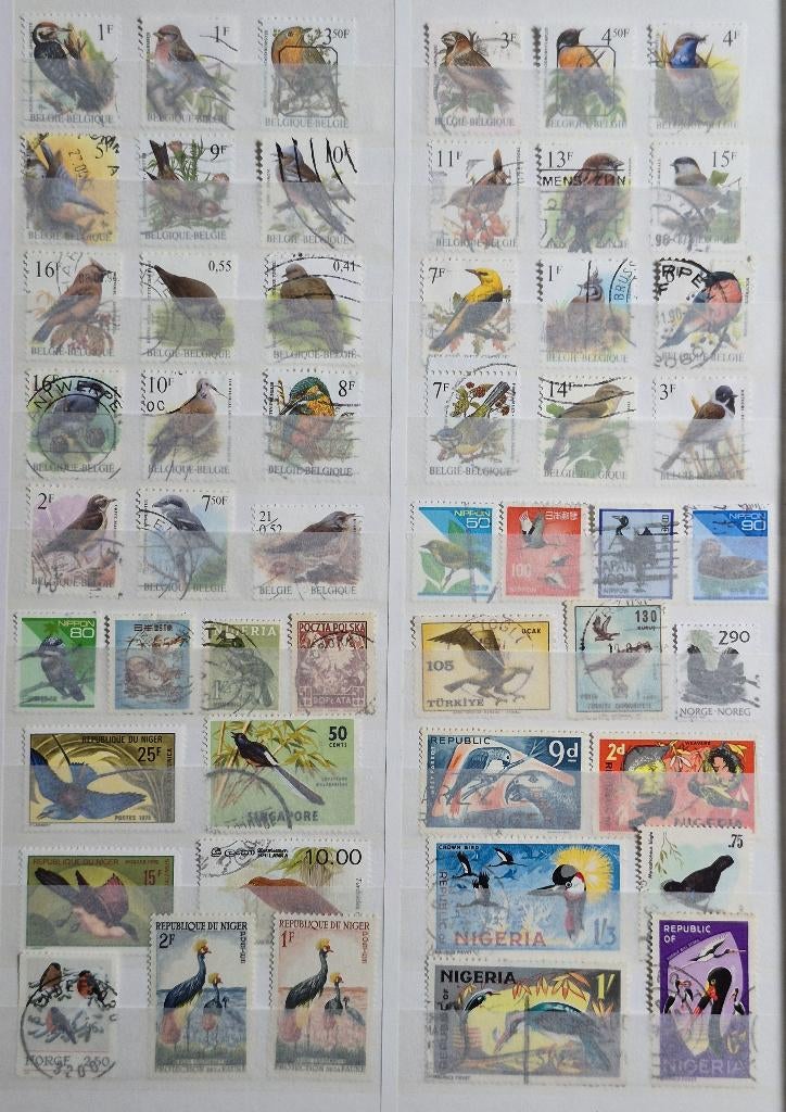 POSTZEGELS VOGELS WERELD GESTEMPELD, Verzenden, Gestempeld, Dier of Natuur
