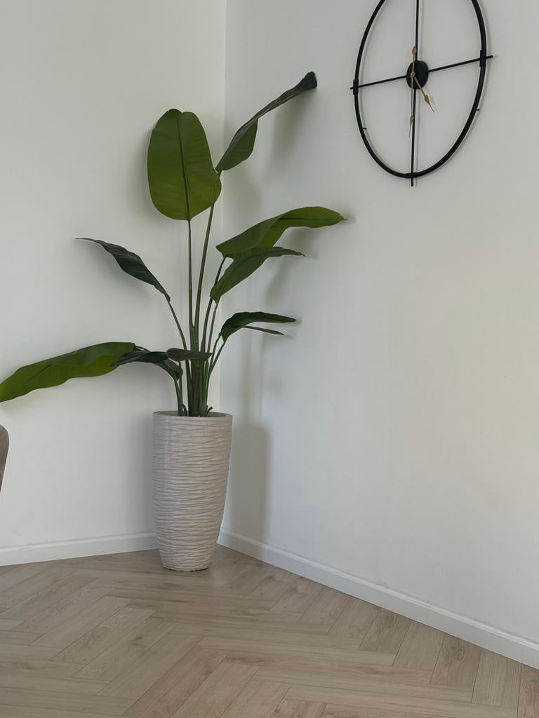 Prachtige kunstplant, Ophalen of Verzenden, Halfschaduw, 150 tot 200 cm