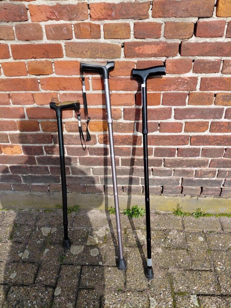 Wandelstokken, Ophalen of Verzenden, Zo goed als nieuw