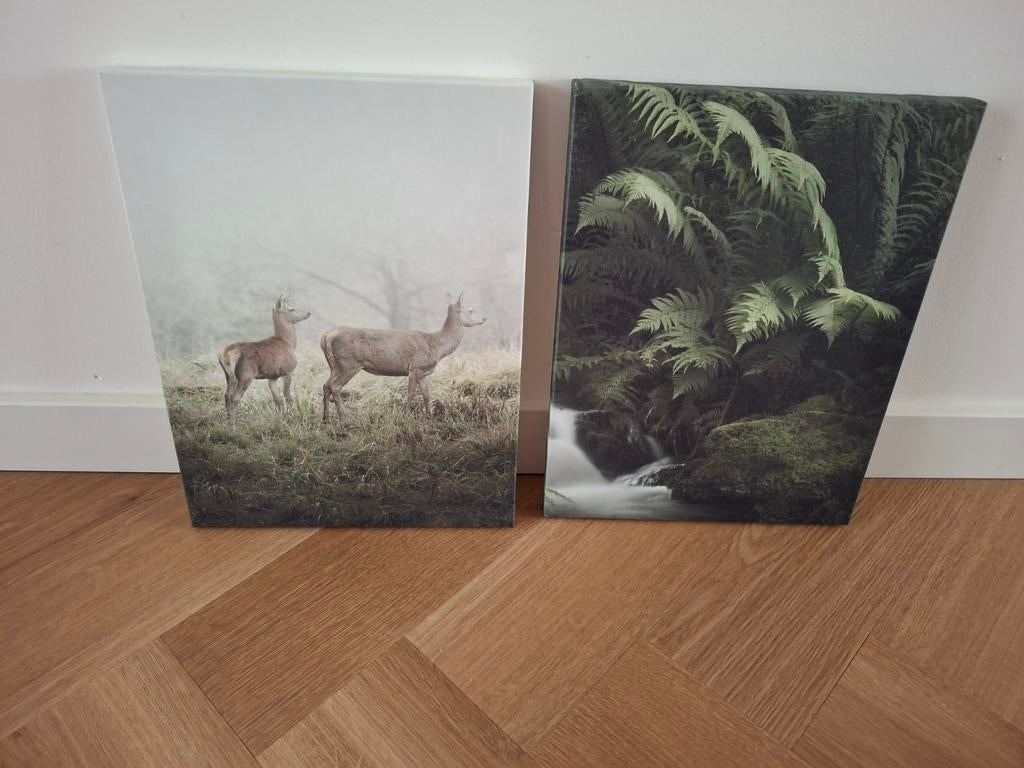 2 wanddecoraties natuur en dieren, Minder dan 50 cm, Nieuw, Ophalen of Verzenden, Schilderij