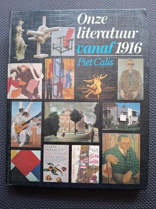 Piet Calis - Onze literatuur vanaf 1916, Boeken, Ophalen of Verzenden, Gelezen, Piet Calis
