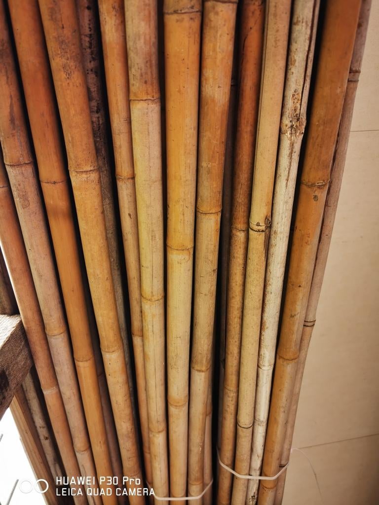 Bamboe stoken, Tuin en Terras, Tuinschermen, Ophalen, Nieuw, Overige materialen, 200 cm of meer