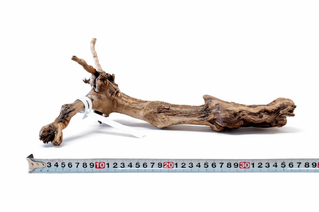 Druivenhout (Small) voor Terrarium (stuk nr1), Nieuw, Ophalen of Verzenden, Nvt, Nvt