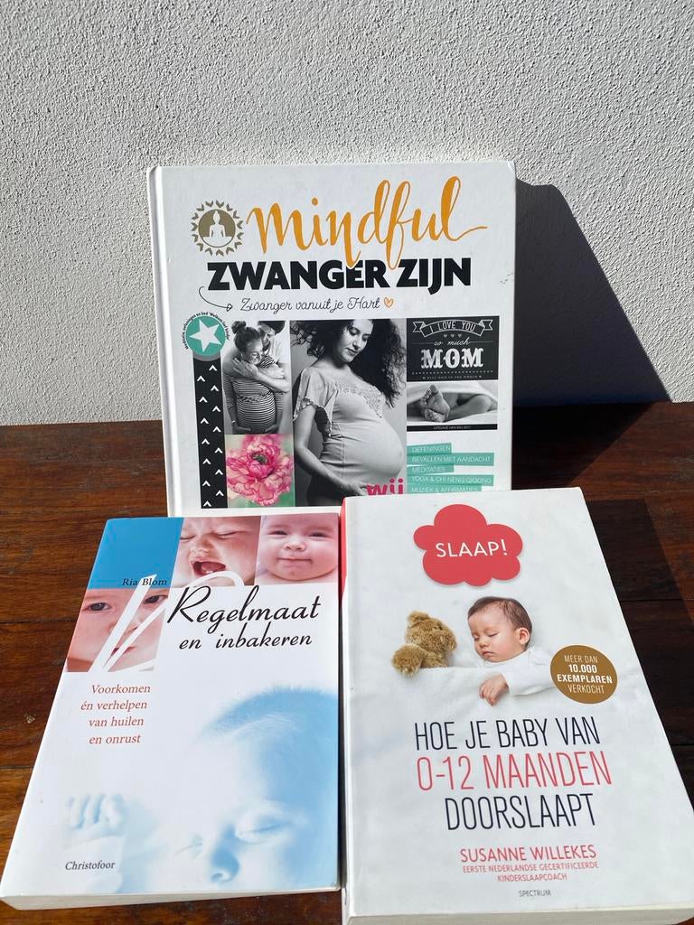 Slaap! Susanne willekes plus twee extra, Boeken, Zwangerschap en Opvoeding, Ophalen of Verzenden, Gelezen, Zwangerschap en Bevalling