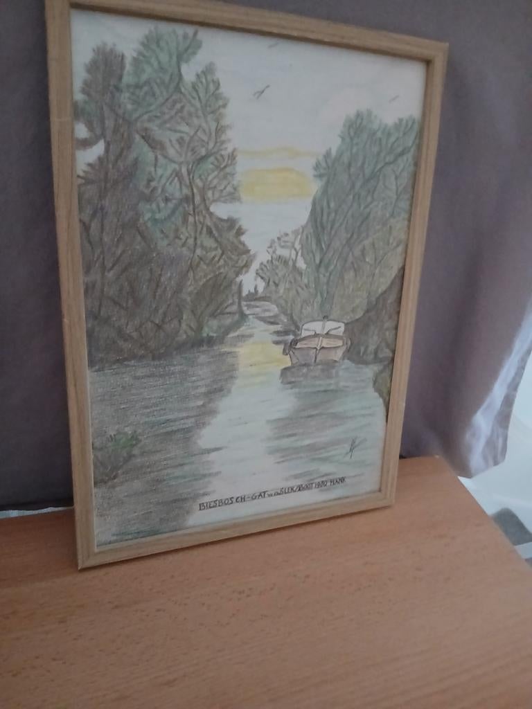 Biesbosch tekening gemaakt met Aquarel potlood, Ophalen of Verzenden