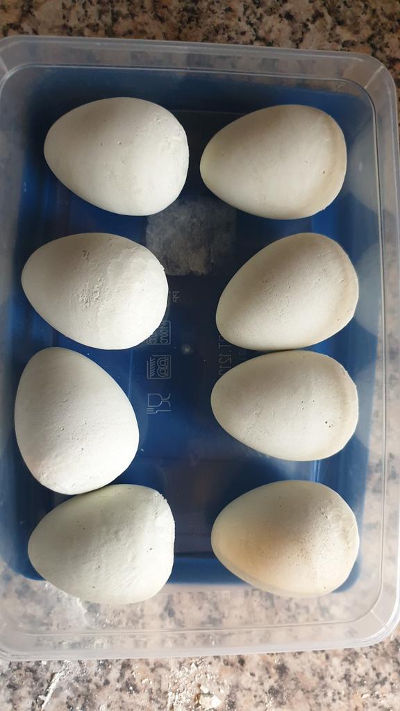 Kunsteieren, eieren van gips, broeden, broedeieren, Ophalen of Verzenden, Nieuw, Overige typen