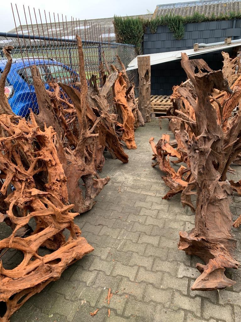 Mega assortiment aquariumhout, kom langs of bestel online, Ophalen of Verzenden, Nieuw, Plant(en), Steen of Hout