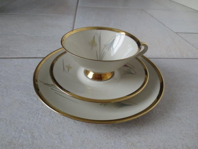 Eschenbach Bavaria kop en schotel met bord, Ophalen of Verzenden