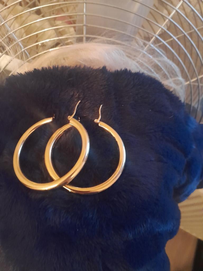 Goudkleurige Creolen - Nieuw, Hangers, Nieuw, Ophalen of Verzenden, Goud