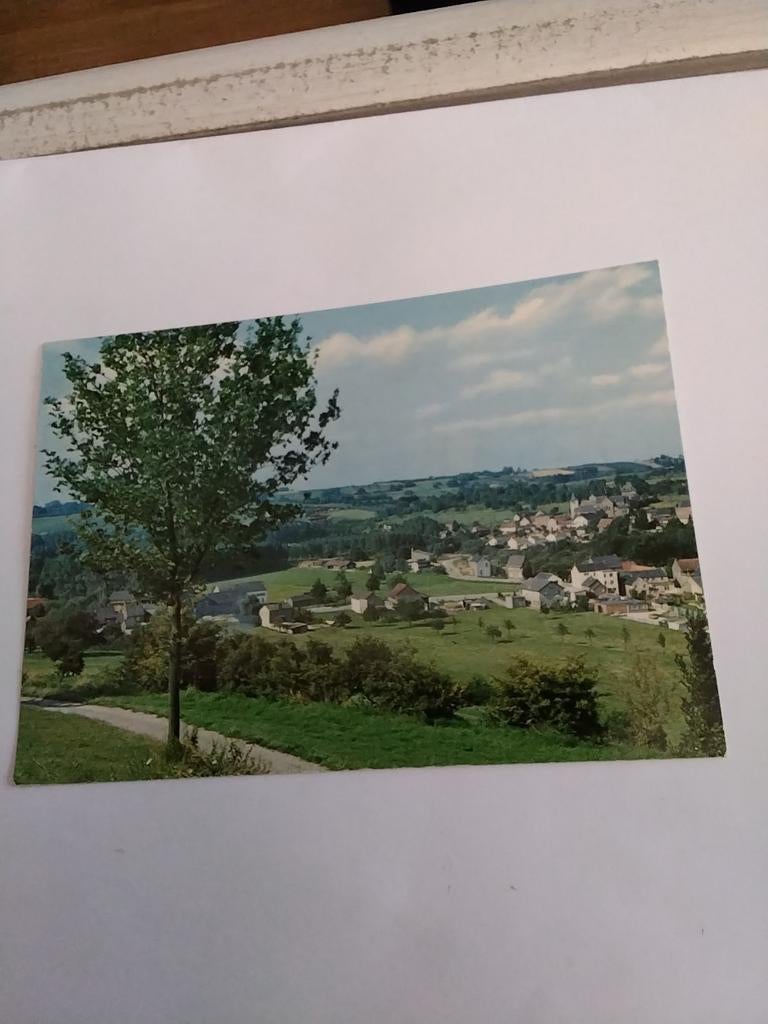 SCHIN OP GEUL. PANORAMA, Ophalen of Verzenden, 1940 tot 1960, Limburg