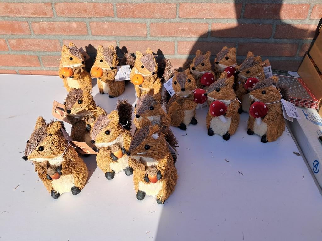 30 stuks Eekhoorn herfst, Ophalen, Nieuw
