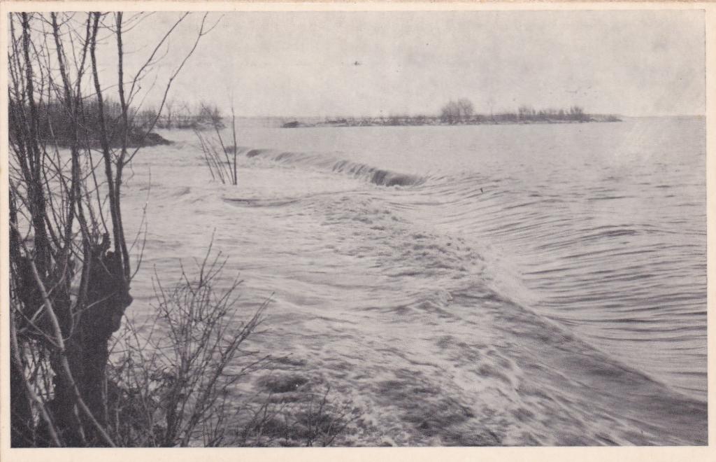 18152 Boomgaard tijdens stormramp Schouwen Duiveland 1953, Ophalen of Verzenden, 1940 tot 1960, Ongelopen, Zeeland