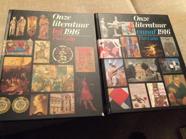 Onze literatuur tot 1916 / vanaf 1916 - Piet Calis, Boeken, Ophalen of Verzenden, Nieuw, Overige niveaus, Nederlands