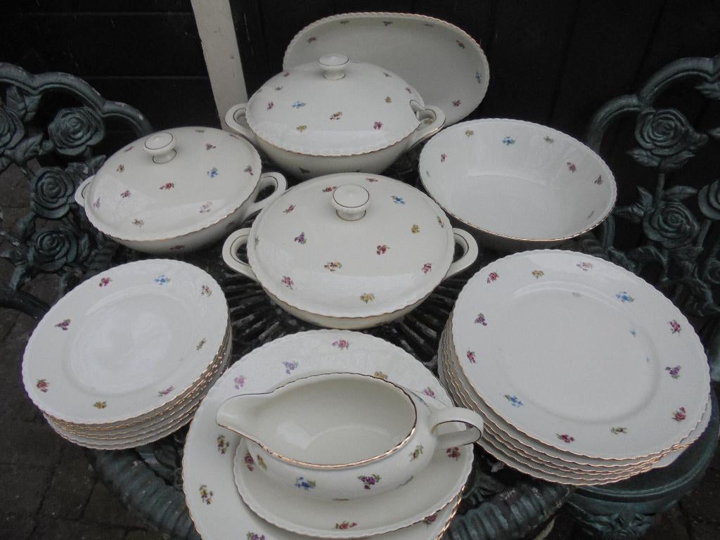 Dinerservies Winterling Bavaria Rosemary strooi bloemetjes, Ophalen of Verzenden