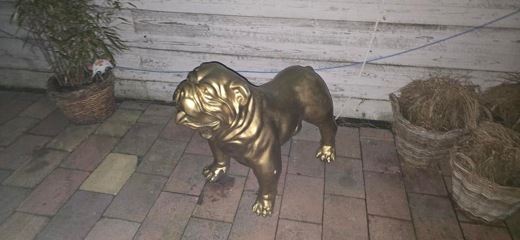Gouden American Bully Beeld - Unieke Decoratie, Ophalen, Gebruikt, Overige materialen, Dierenbeeld