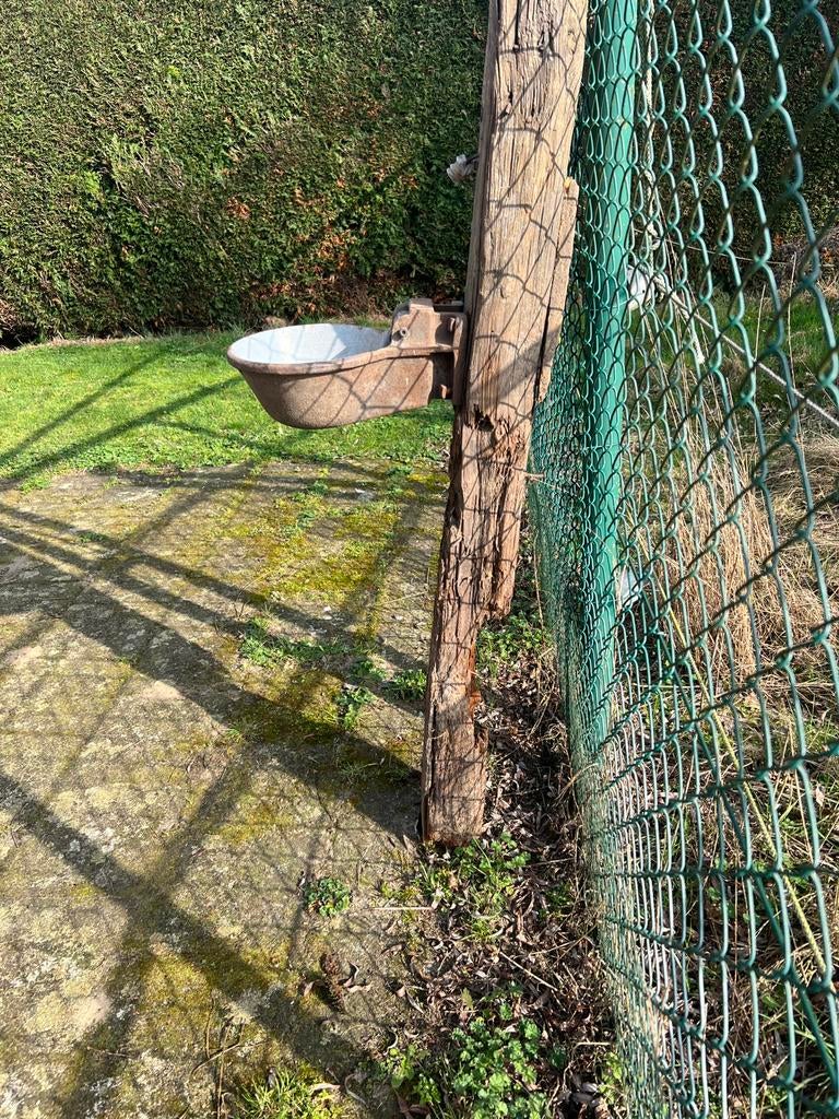 Drinkbak vee €10,00 per stuk, Dieren en Toebehoren