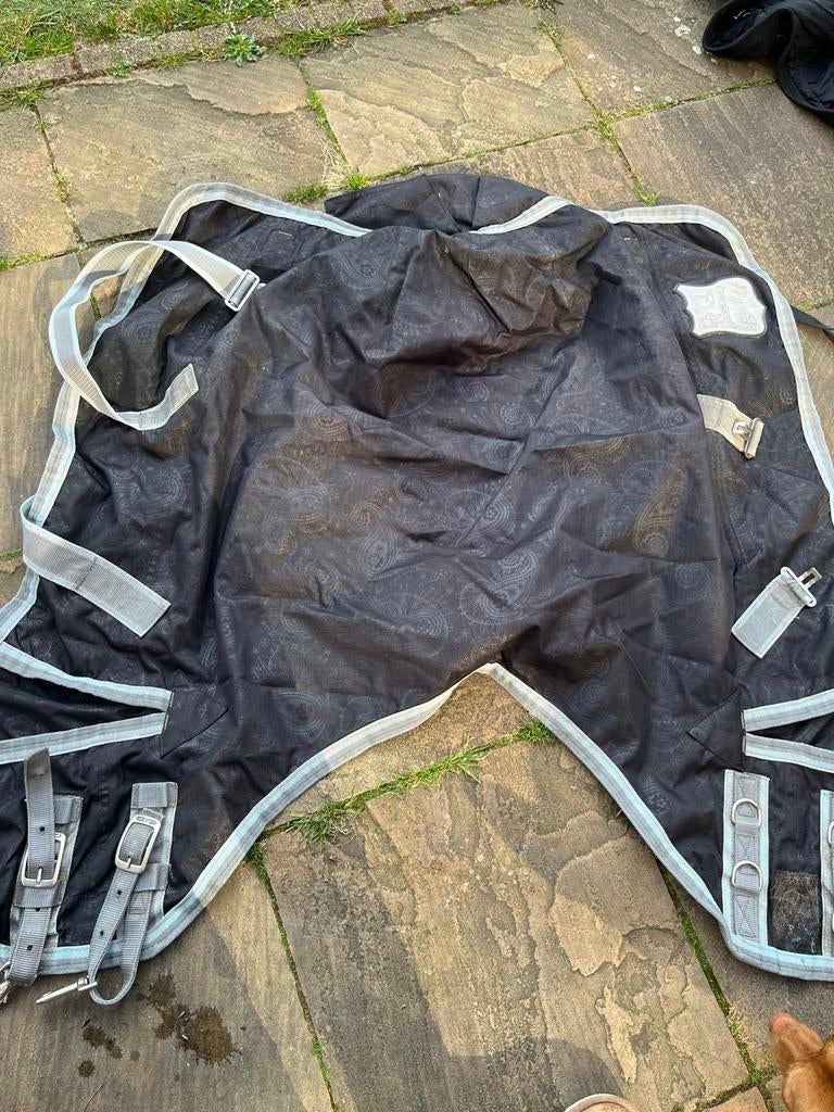 Regendeken shetlander, Ophalen of Verzenden