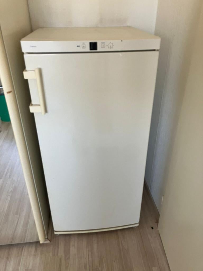 Liebherr Vrieskast - Duurzaam, Stil & Overzichtelijk, Ophalen